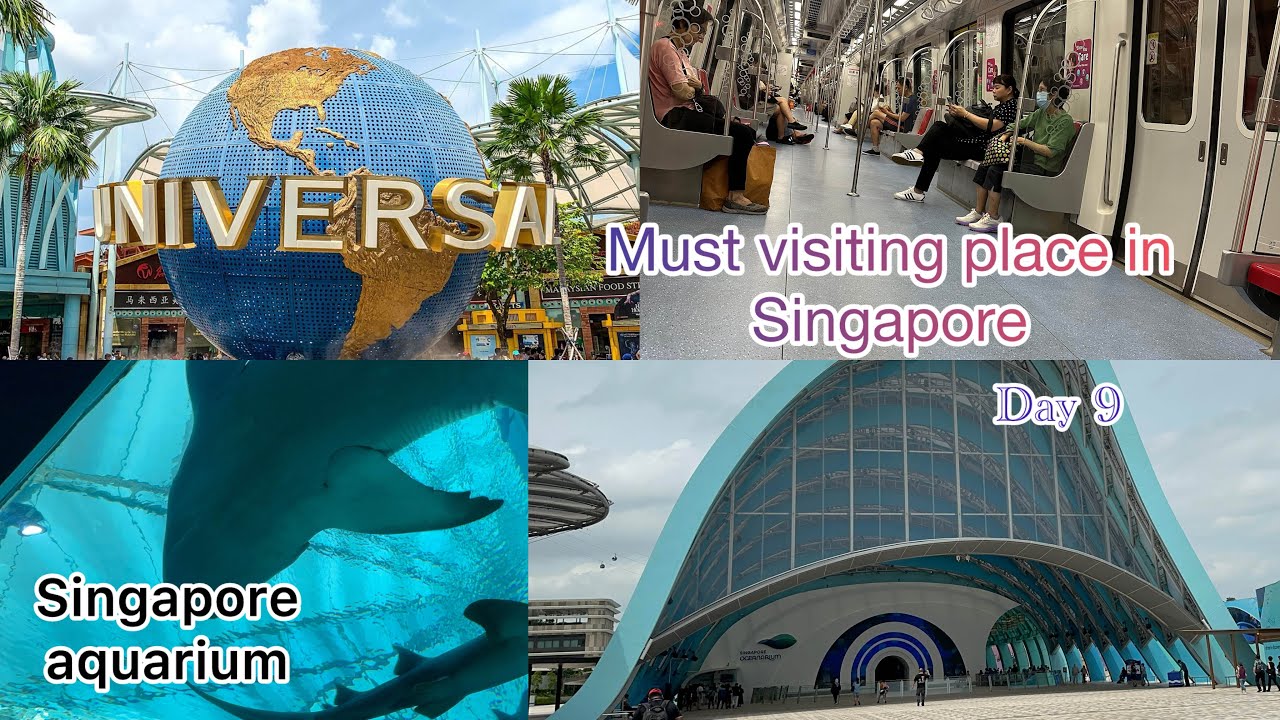 MUST VISIT PLACE IN SINGAPORE||Singapore aquarium||Mount faber park|Universal studio|Sentosa island 
