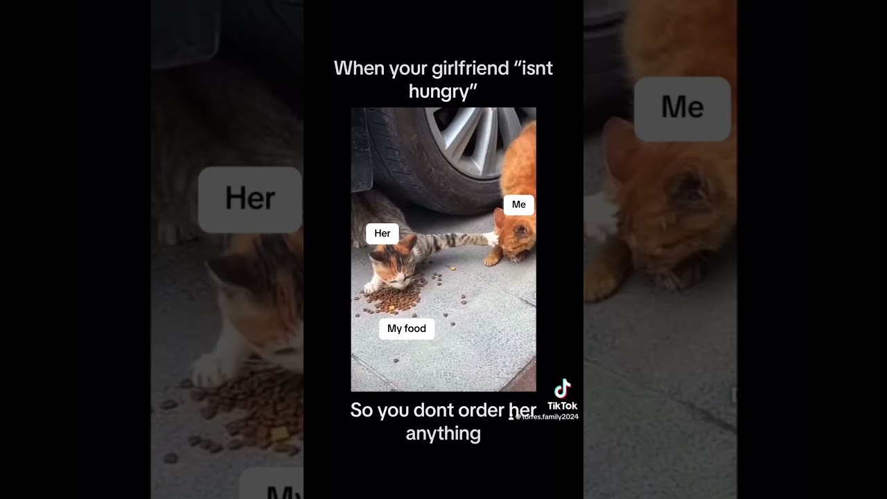 Girl Problems - Cat edition