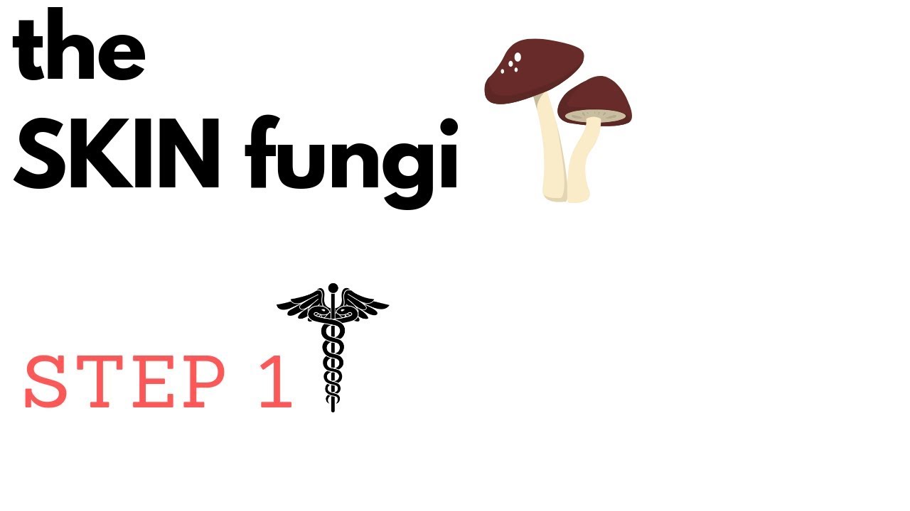 Skin Fungi | Dermatophytes, Candida, Malassezia, Tinea Nigra, Sporothrix |STEP1|