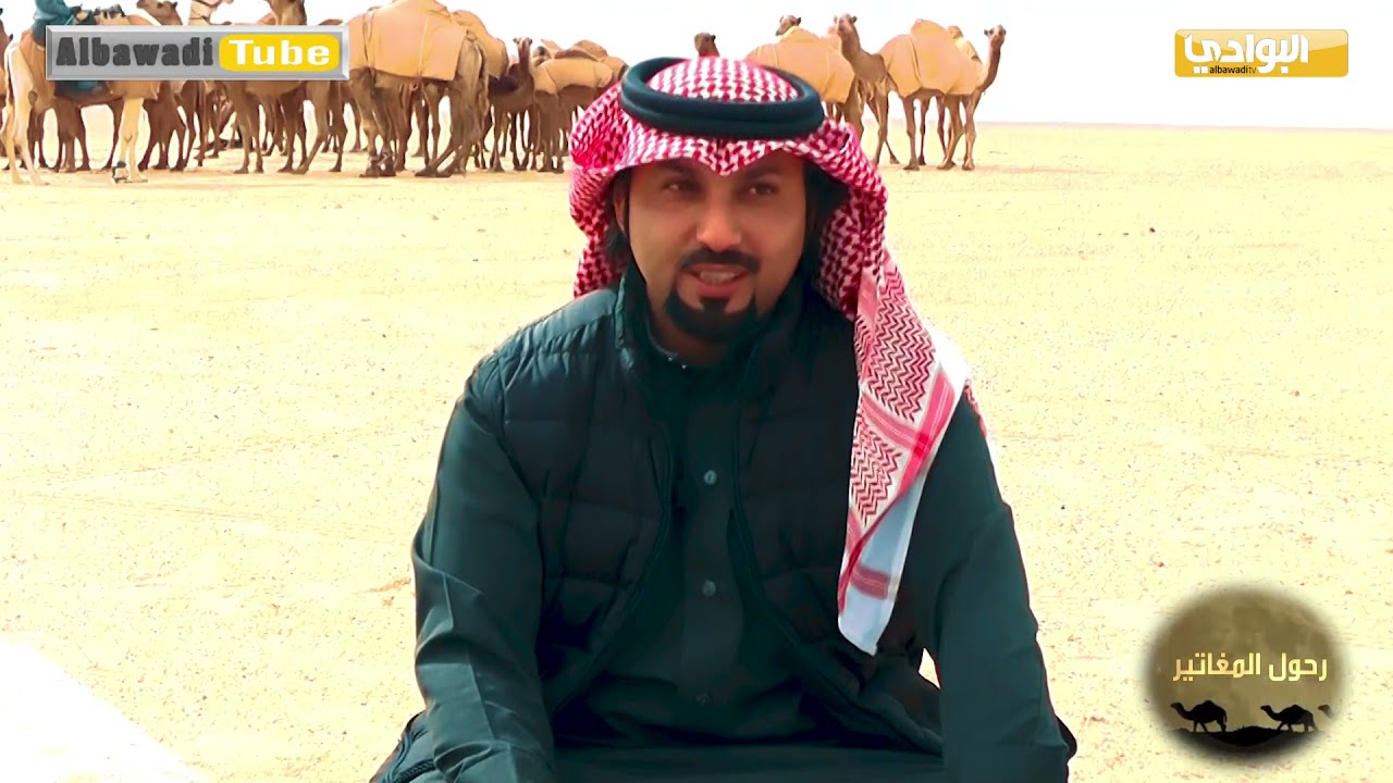 الحلقة 
