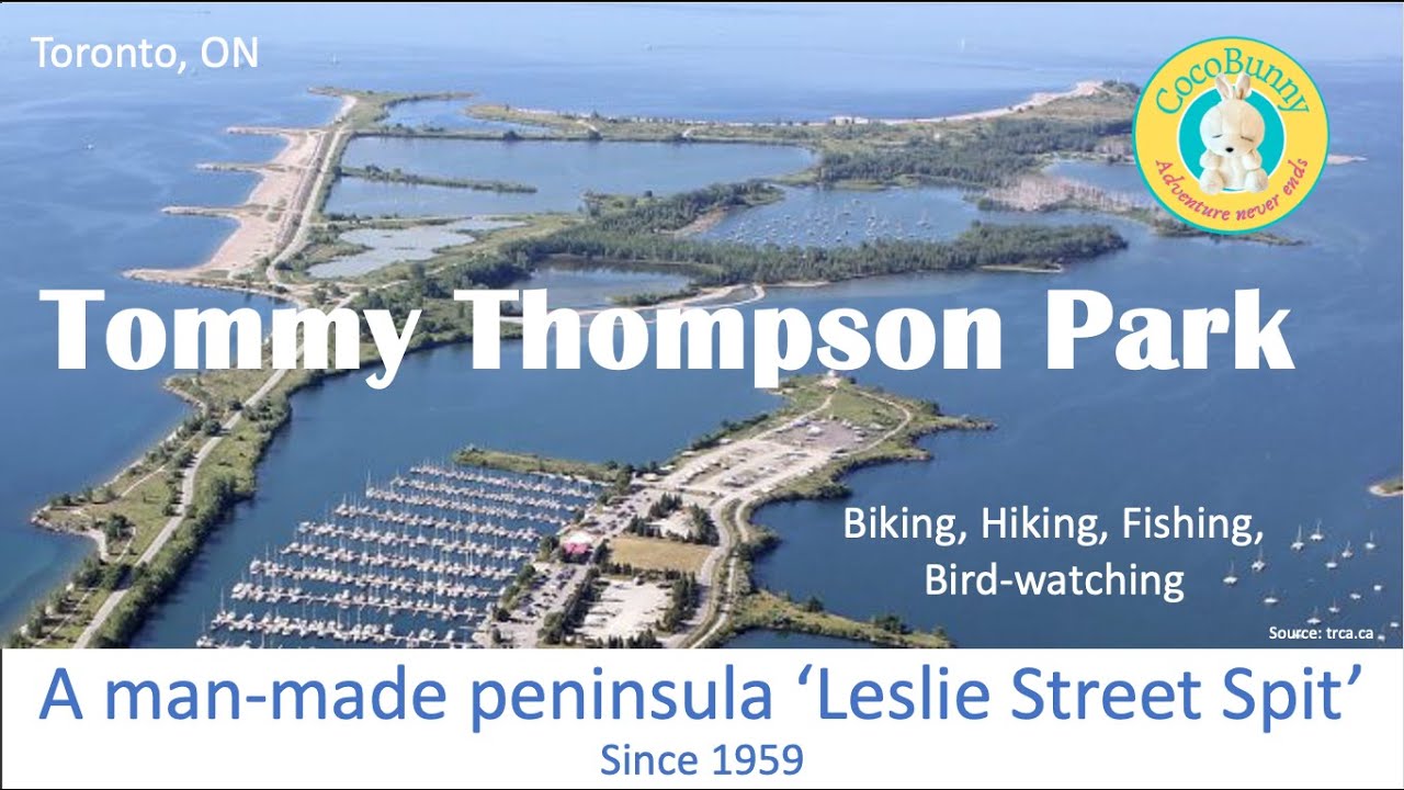 Tommy Thompson Park - A man-made peninsula in DT Toronto: Biking, Hiking, Bird-watching & Fishing