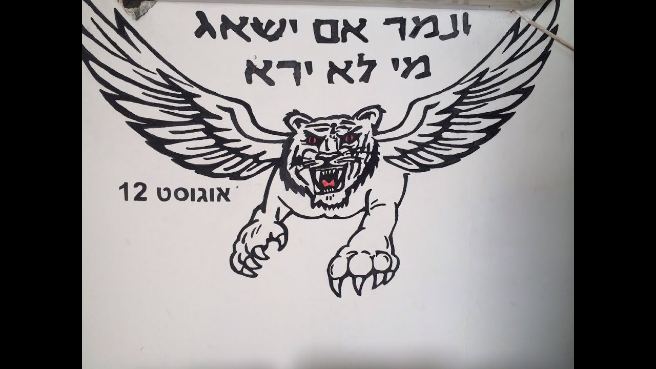 sayeret golani august 12  סיירת גולני צוות ניתאי