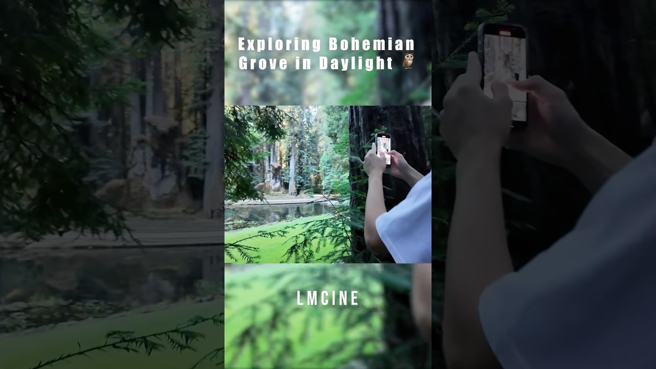 Bohemian grove in broad daylight 😱🦉 #bohemiangrove #conspiracypalette #viralvideo #exploring