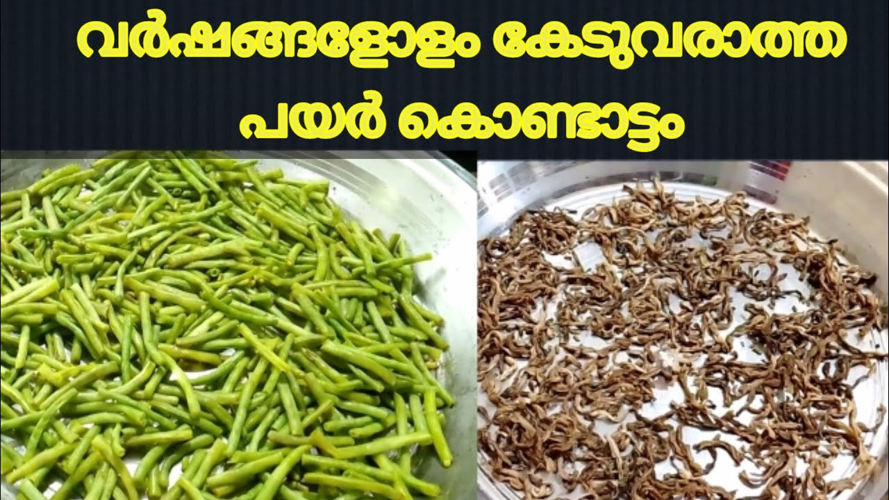 പയർ കൊണ്ടാട്ടം നാടൻ രീതിയിൽ വീട്ടിലുണ്ടാക്കാം | Payar Kondattam@SindhusWorldofmusic