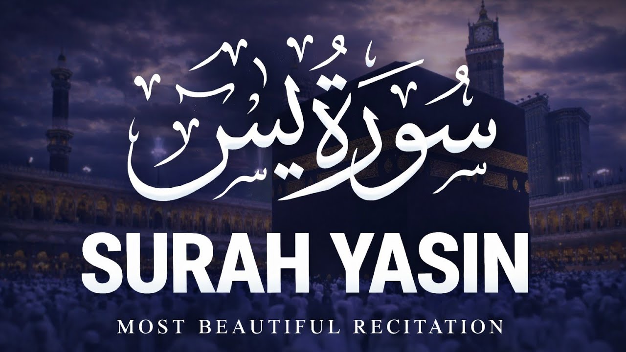 Surah Yaseen for Peace of Heart | Very Soft & Slow Quran Recitation for Stress Relief