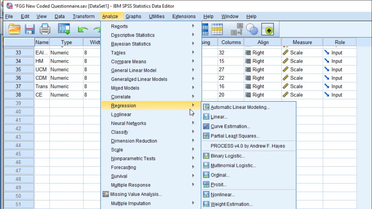 How to analyze Likert scales through moderation test and interpret the results