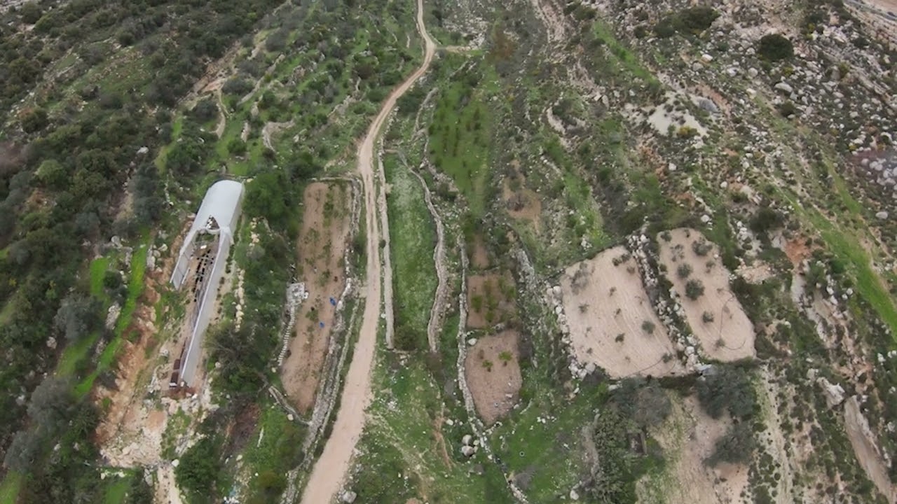 جمال الطبيعة بداية فصل الربيع بيتونيا عين جريوت مع جمال العمواسي