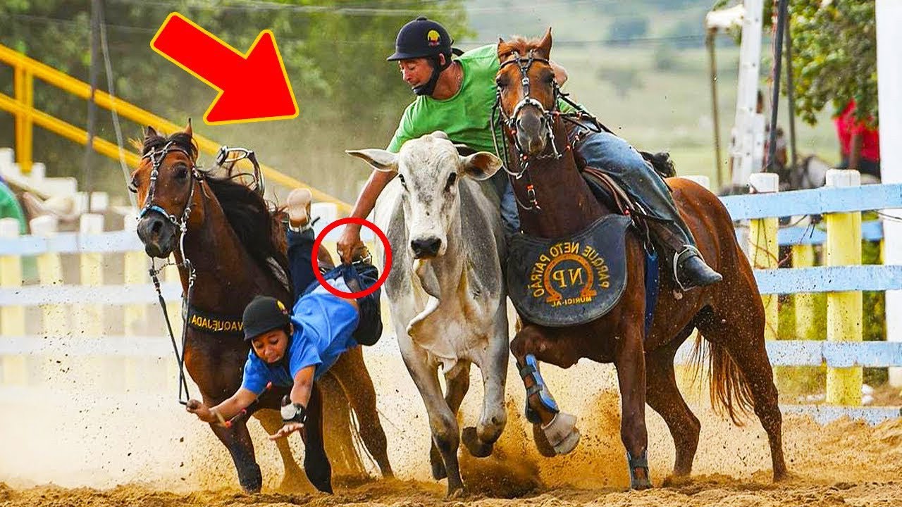 MOMENTOS DA VAQUEJADA QUE SE NÃO FOSSEM FILMADOS, NINGUÉM ACREDITARIA