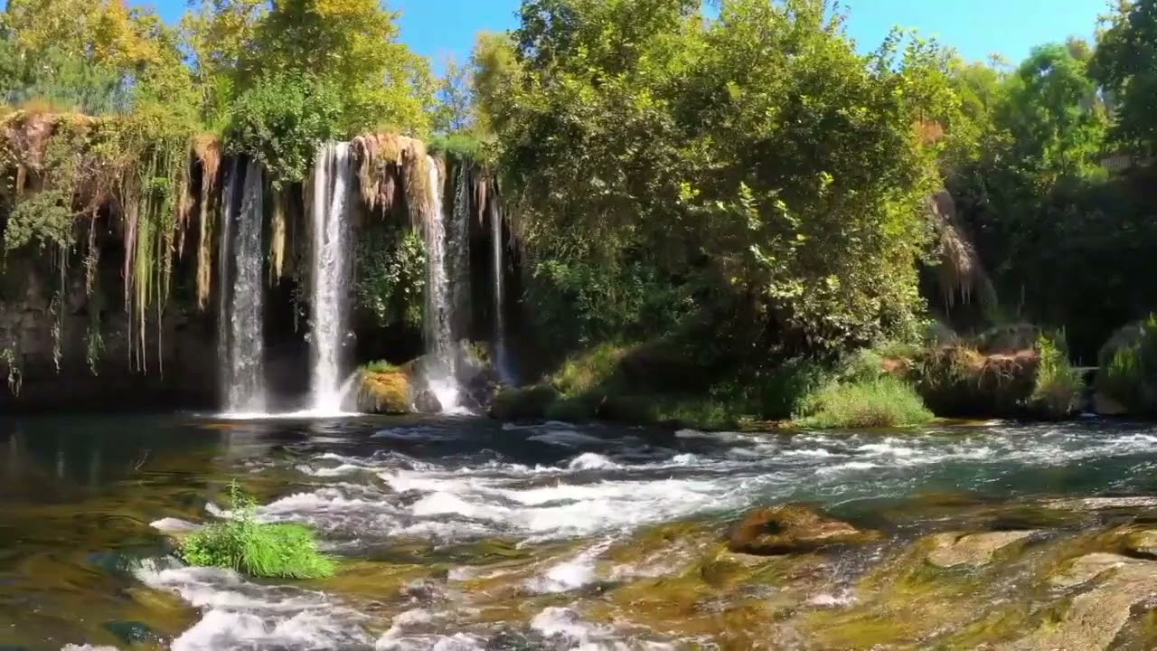 እግዚአብሔር ከእኛ ምን ይፈልጋል? በዶ/ር መለሰ ወጉ