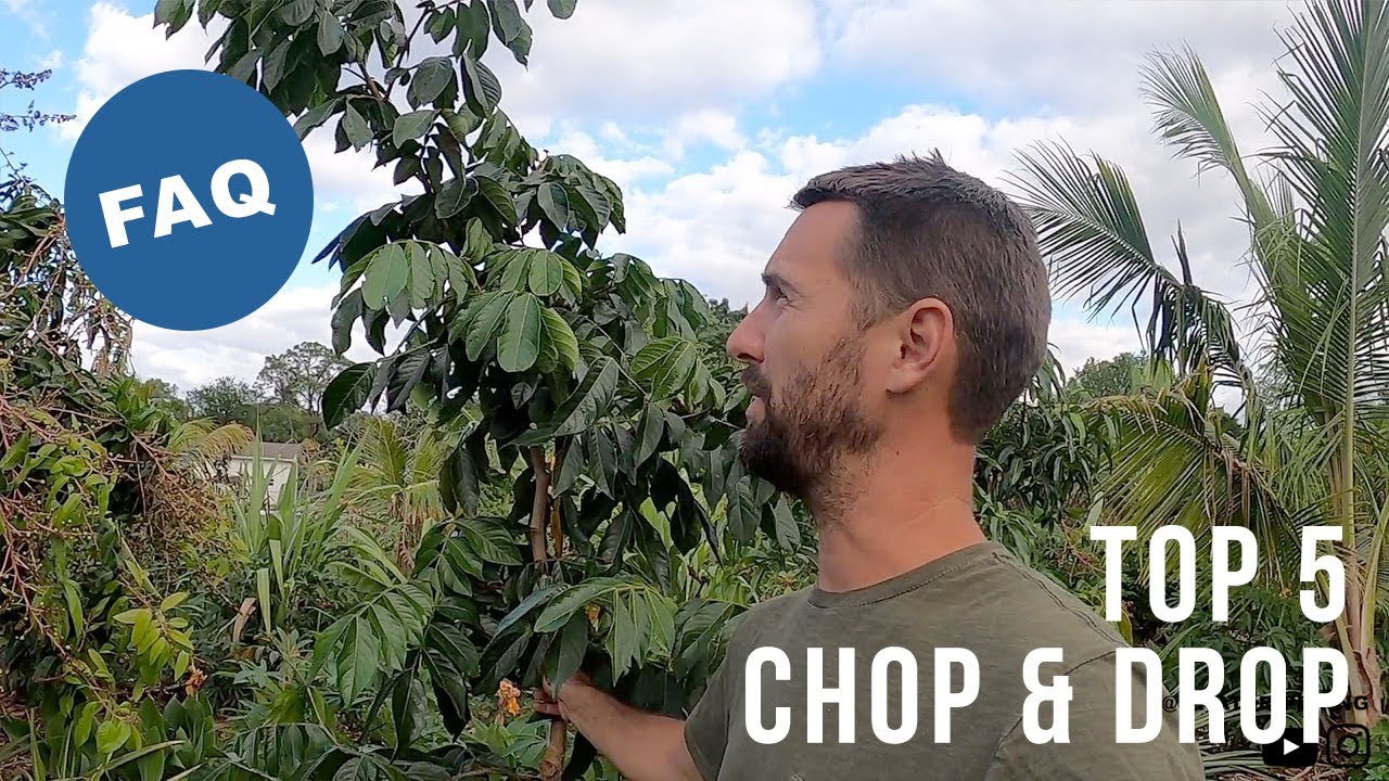 FAQ: Top 5 Chop & Drop Species?