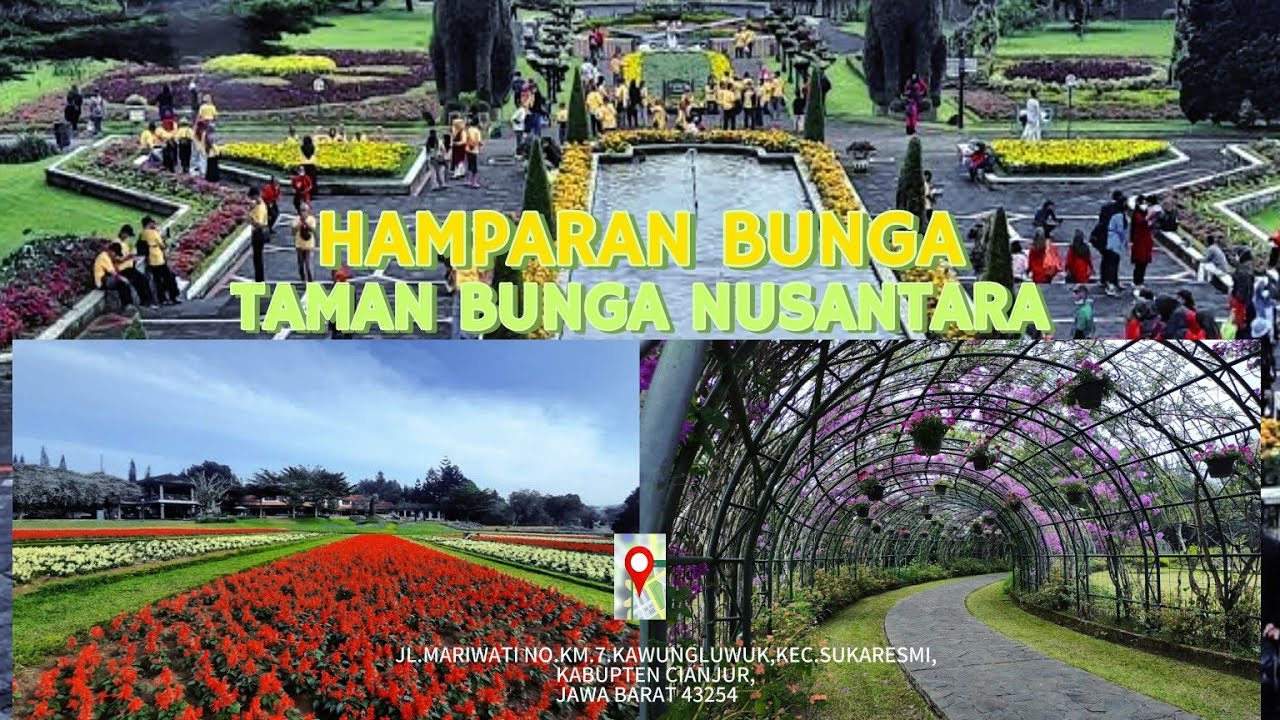 WISATA TAMAN BUNGA NUSANTARA | CIANJUR | BOGOR JAWA BARAT #destination #puncakbogor #wisatacianjur