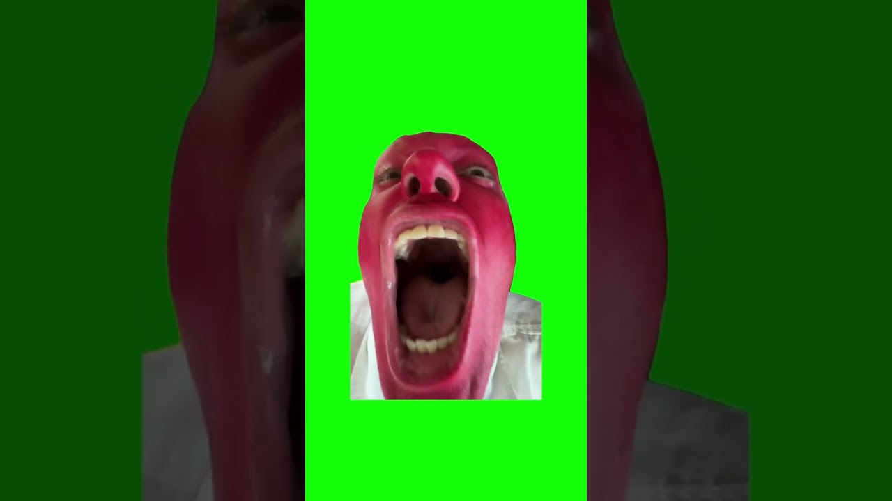 Dan Hentschel Red in the Face, Screaming | Green Screen #scream #mad #crashout #angry #meme