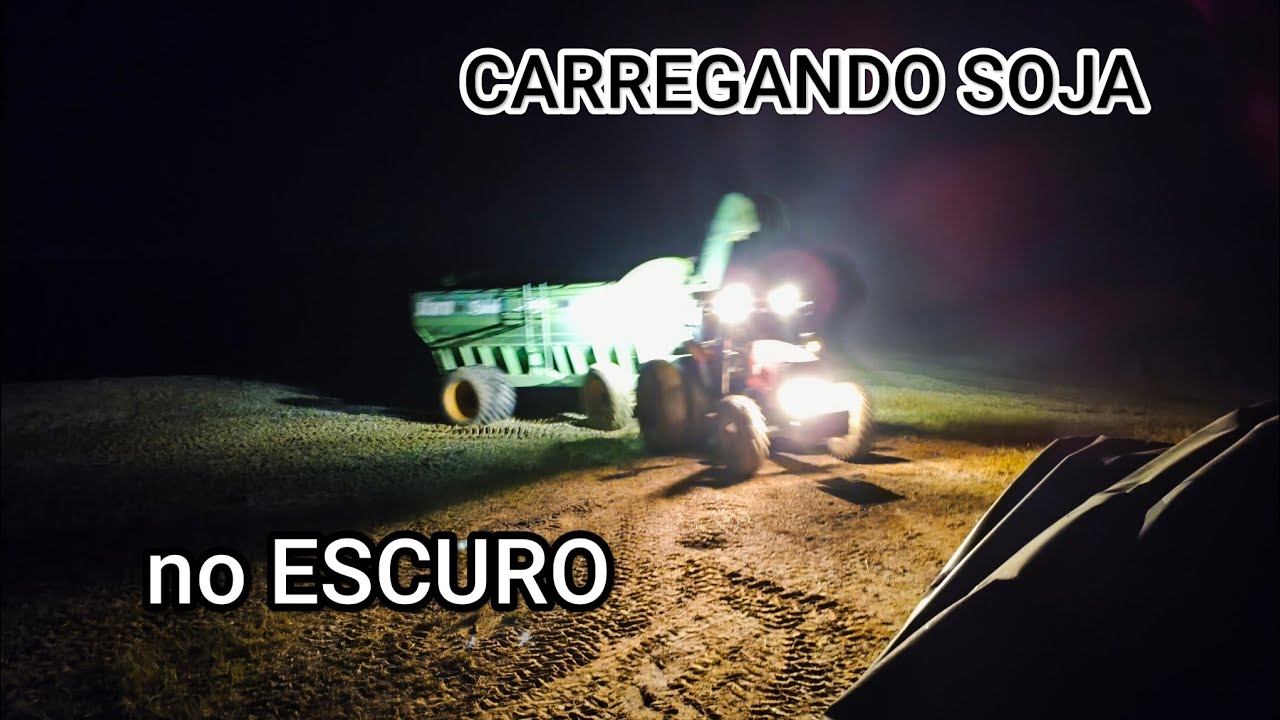 Colheita do soja não para 