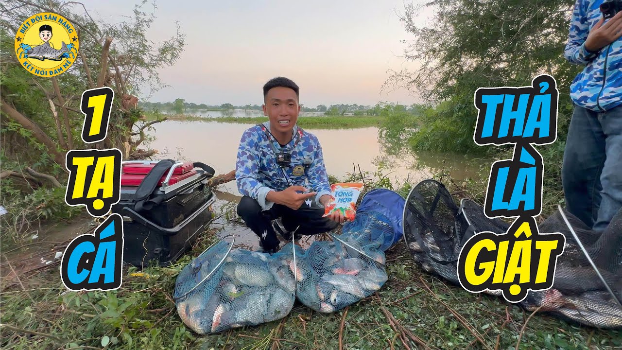 C&acirc;u C&aacute; M&ugrave;a Lũ: Tr&uacute;ng Đ&agrave;n C&aacute; Thả L&agrave; Giật ??
