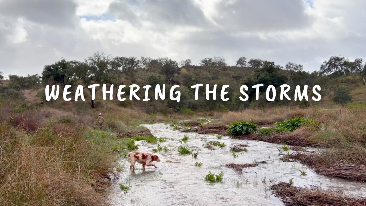 Riding the Storms on our Family Homestead in Portugal