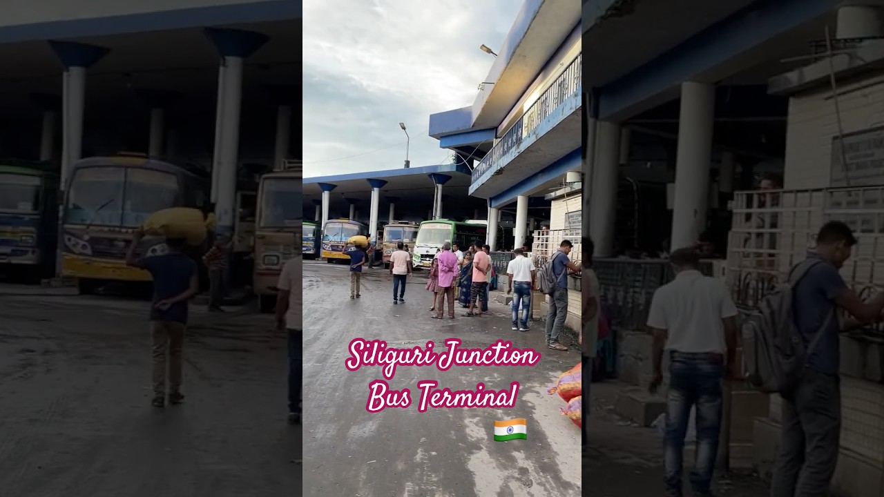 Siliguri Junction bus terminal #toytraindarjeeling #travel #india #siliguri