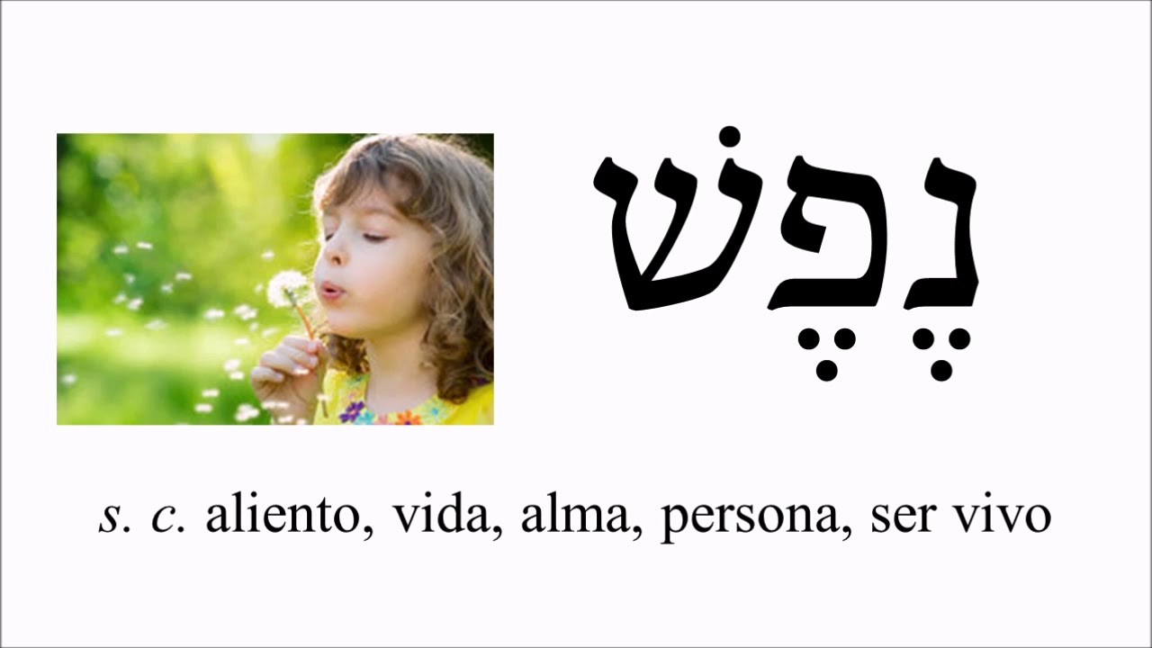 Hebreo Bíblico - Vocabulario 3