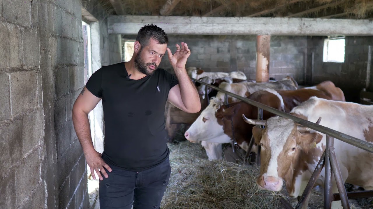 Naša priča ep. 311 05.08.2021. Porodica Petrićević, selo Turica, mlečno govedarstvo, prerada mleka