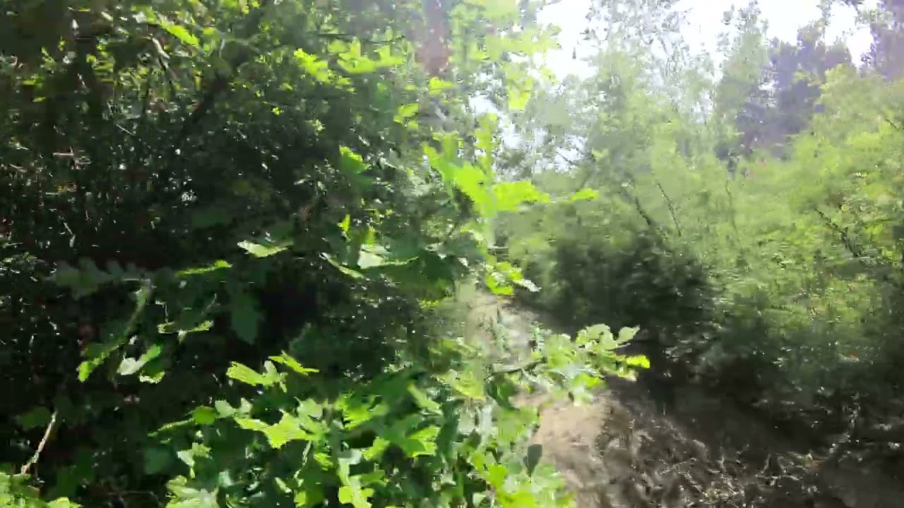 Off Road impegnativo - Appennino Bolognese.
