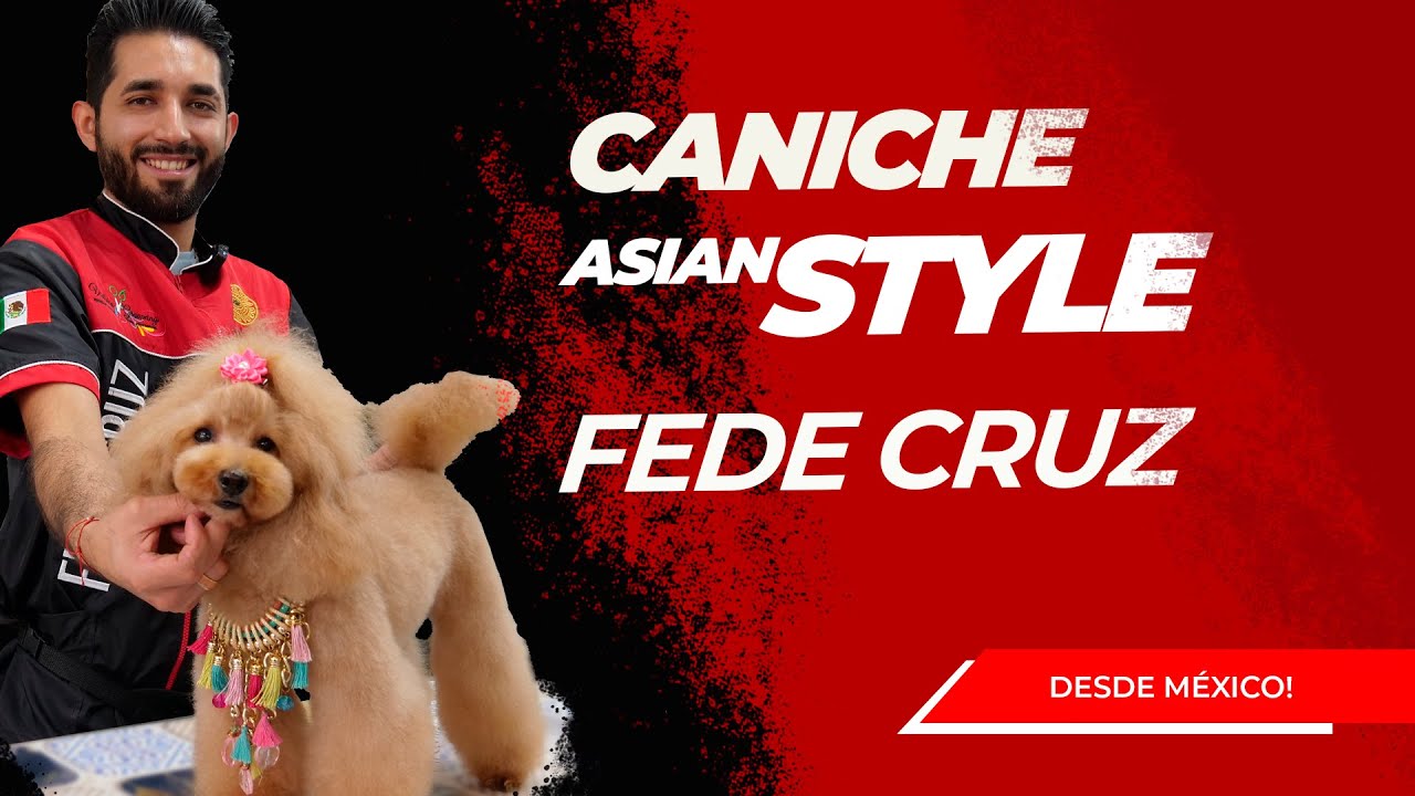 Cómo cortar el pelo a un perro caniche en estilo Asian en la peluquería canina con Fede Cruz