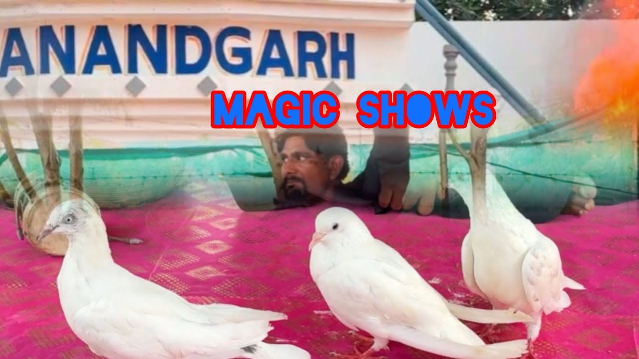 Magic Shows in Anandgarah picnic farms | Traditional Magic | village vibes | Hyderabad 