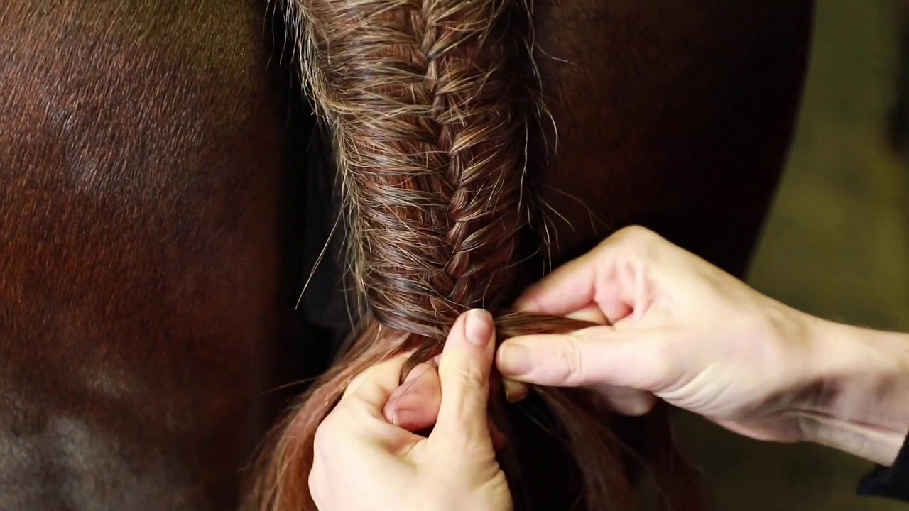 Plaiting a Tail