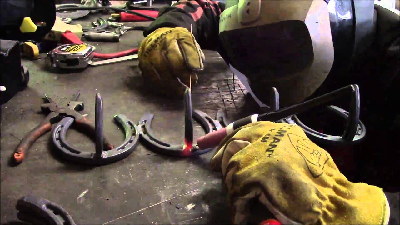 Horse Shoe Coat Rack