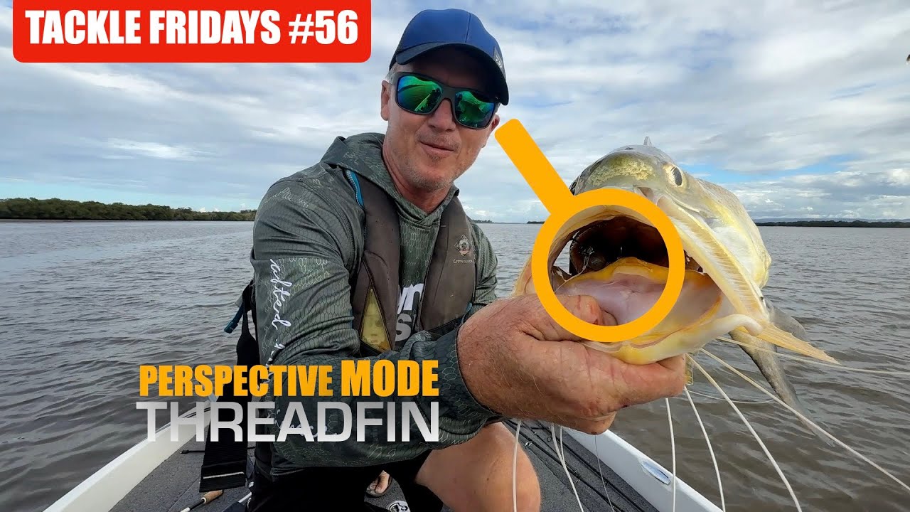 Tackle Fridays #56
