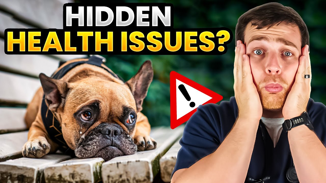 The Problem with French Bulldogs