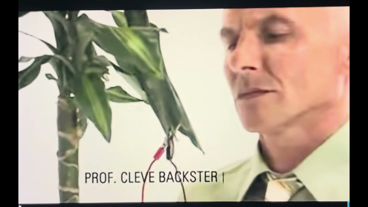 Cleve Backster&rsquo;s Plant Experiment: Do Plants Remember and Feel Energy?