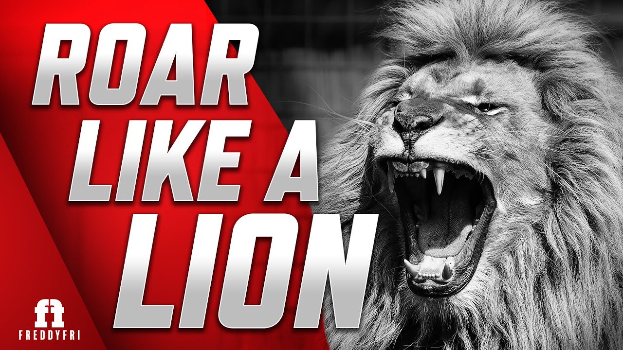 Roar Like A Lion Motivation | Gym Workout Inspiration | Freddy Fri