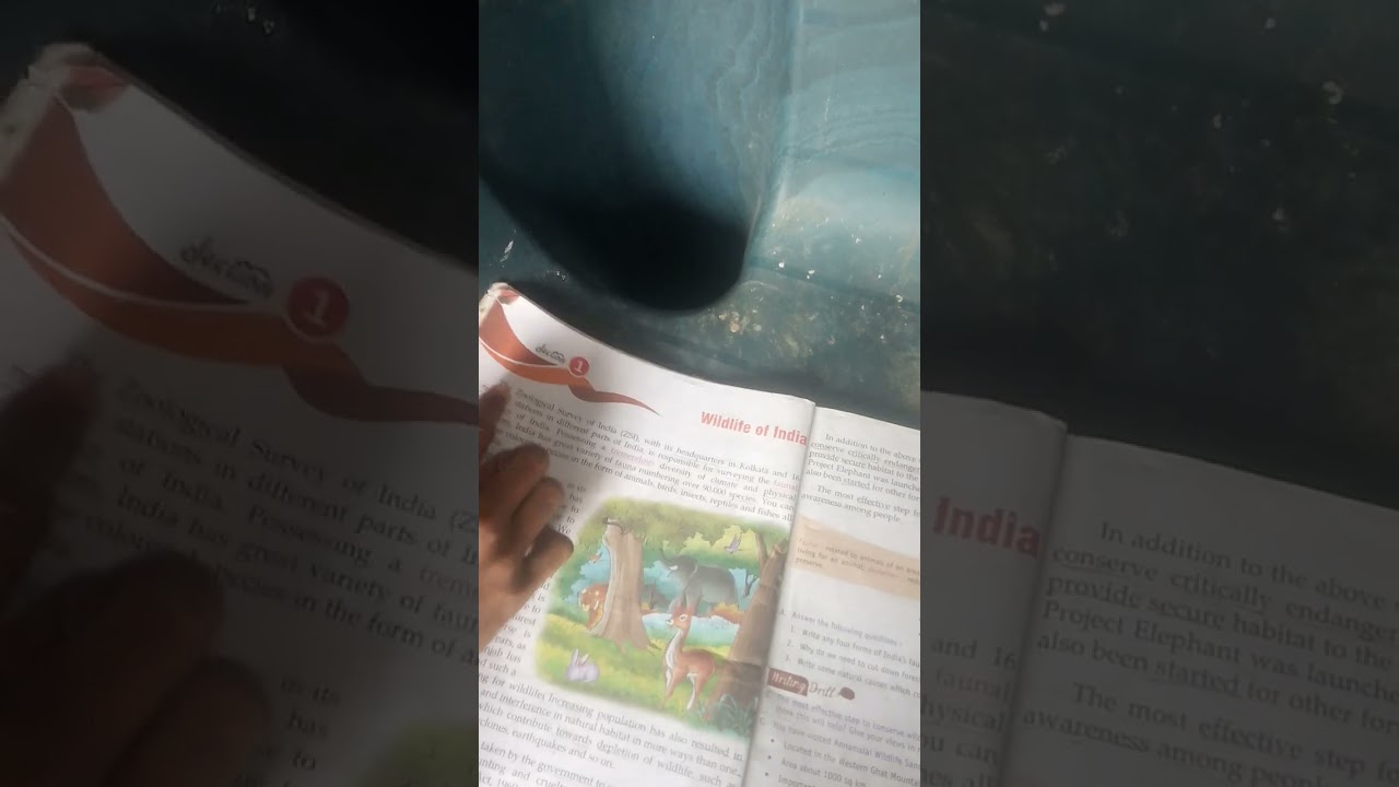 book read karna sikhe hariom Yadav creative study