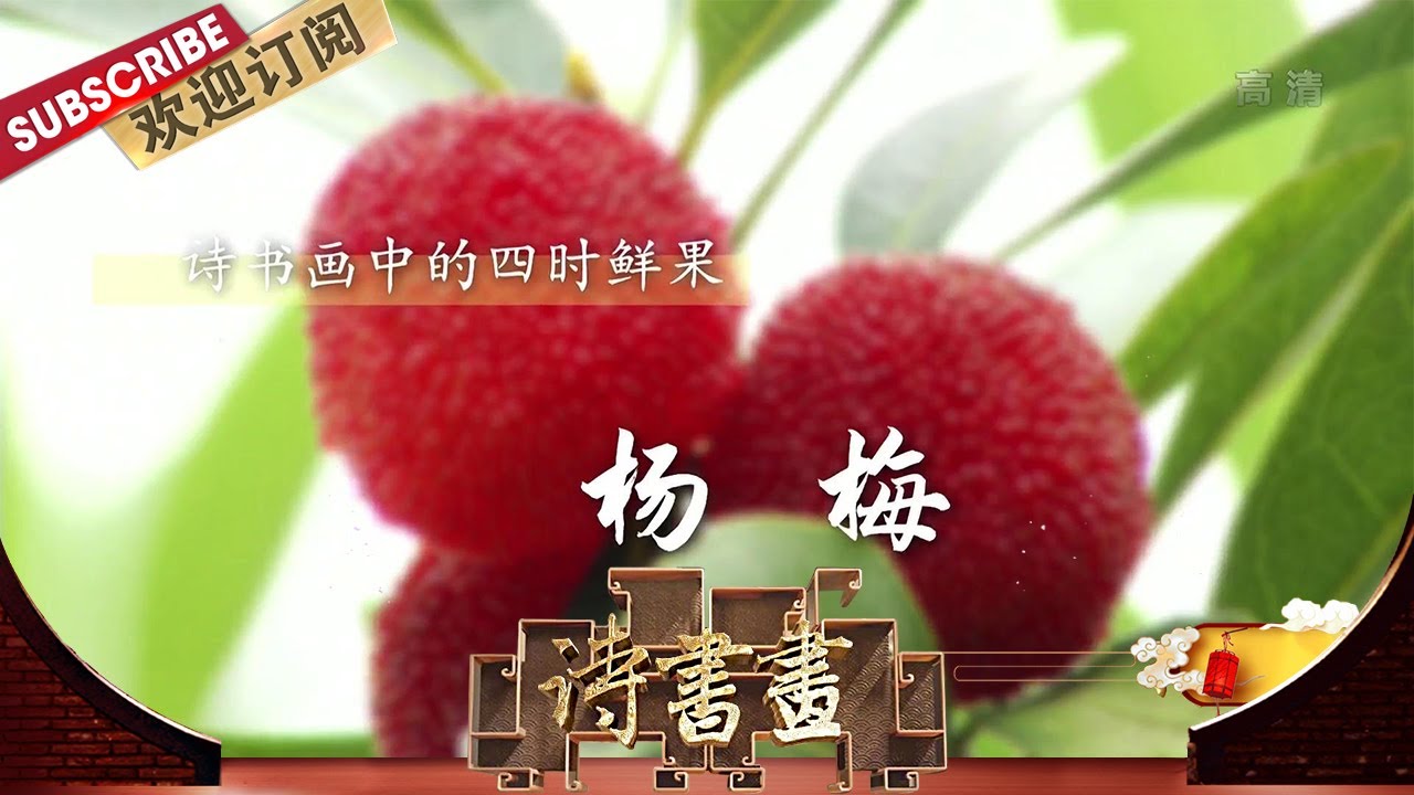 四时鲜果·杨梅 陈瞬翁《南柯子》中那酸甜爽口的杨梅，是我国最古老的水果之一，杨梅能生津止渴，难怪能一直深受人们喜爱 |《诗书画》Becoming poetic 20200701【东方卫视官方频道】