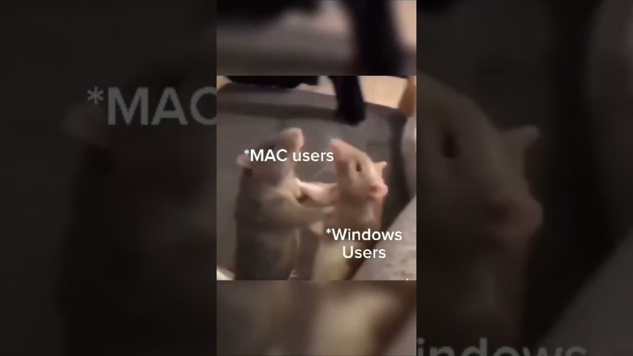 mac users vs windows users vs linux users