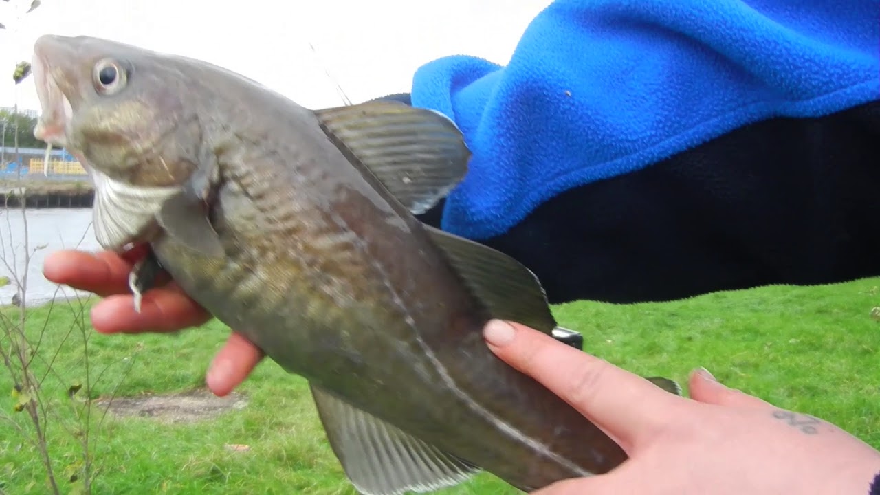 Fishing - Heburn Riverside Park ( River Tyne )