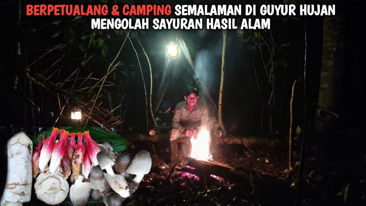Berpetualang & camping di hutan, di guyur hujan, memasak jamur & sayuran liar | CAMPING @GOTOLiving 