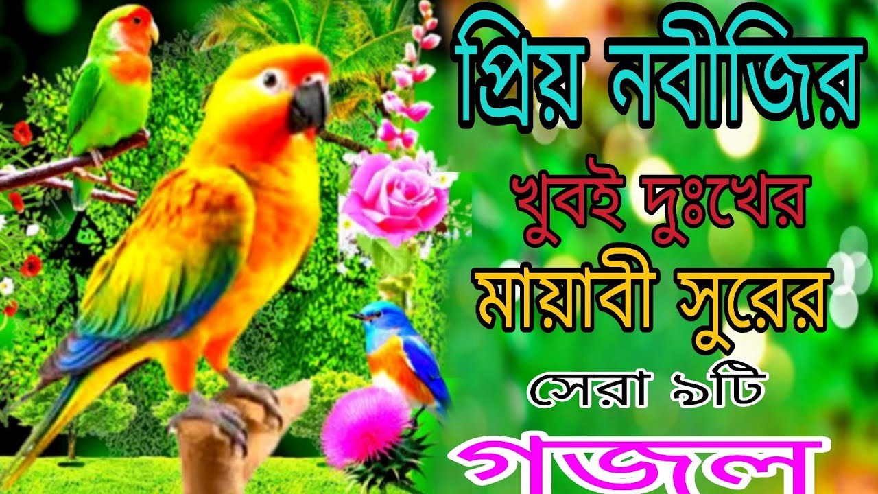 Gojol gojol | md Saddam  bangla ghazal 😭নিউ ইসলামিক গজল 😭 বাংলা গজল নতুন লেখা |নতুন সেরা গজল 😭