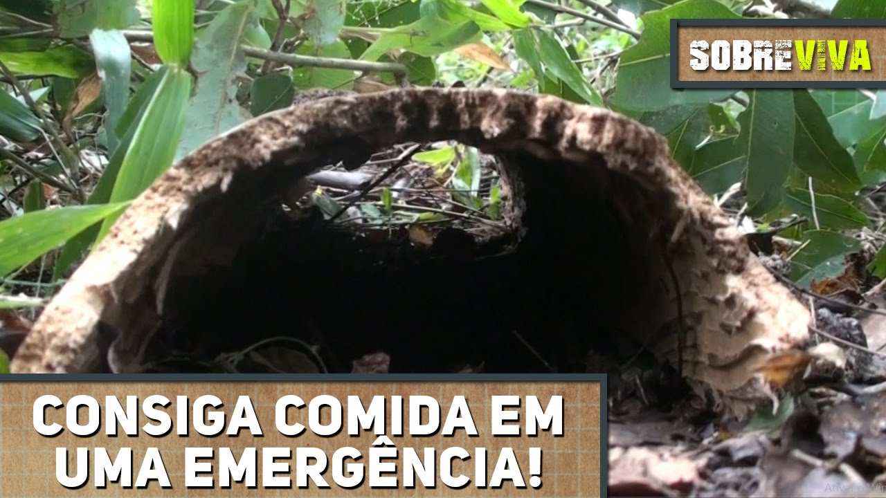 Como fazer uma armadilha boca de garrafa! - Sobreviva Ep.03