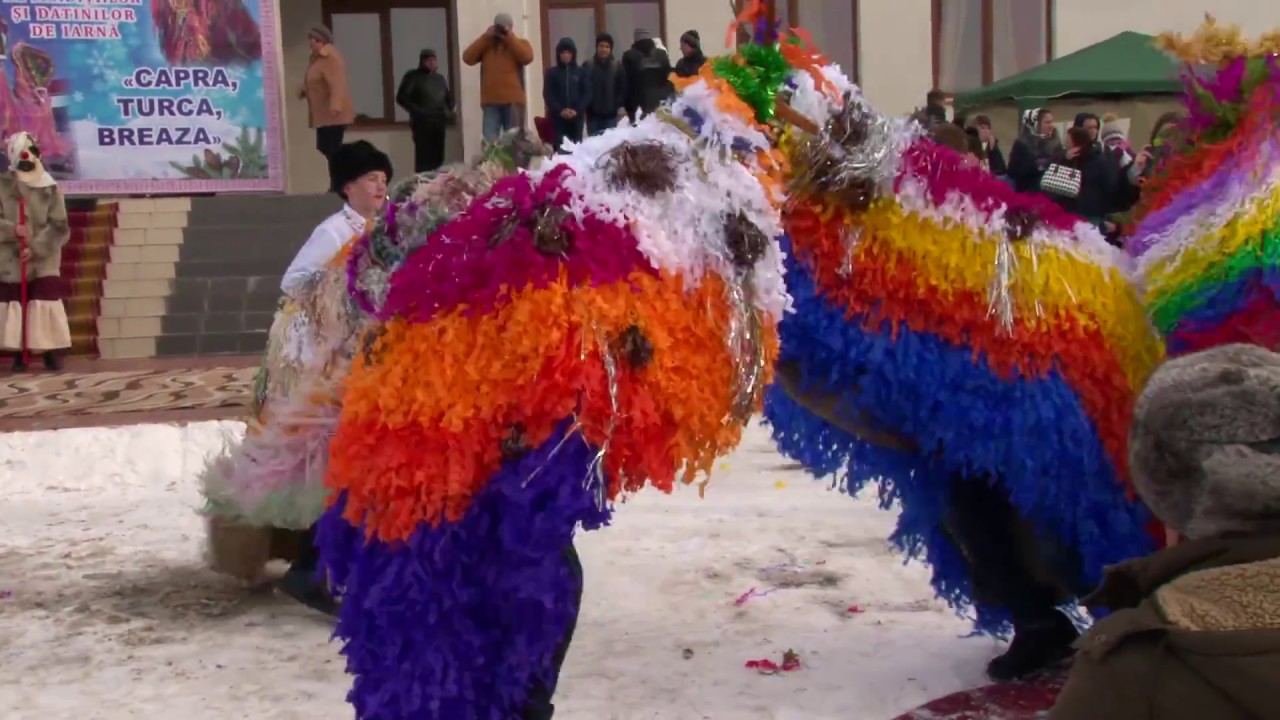 Crihana Veche, Cahul 13.01.2017, a 14 a parte. Caprele de la Larguta, Cantemir.