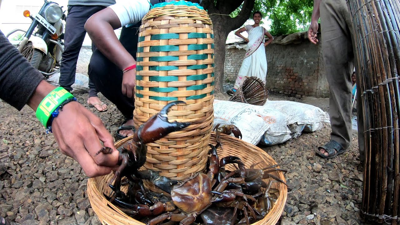 Amazing crab trap, टोकरी भाग -3, पकडले खूप मोठे खेकडे, unique crab recipe,चवदार झणझणीत खेकडा रेसिपि