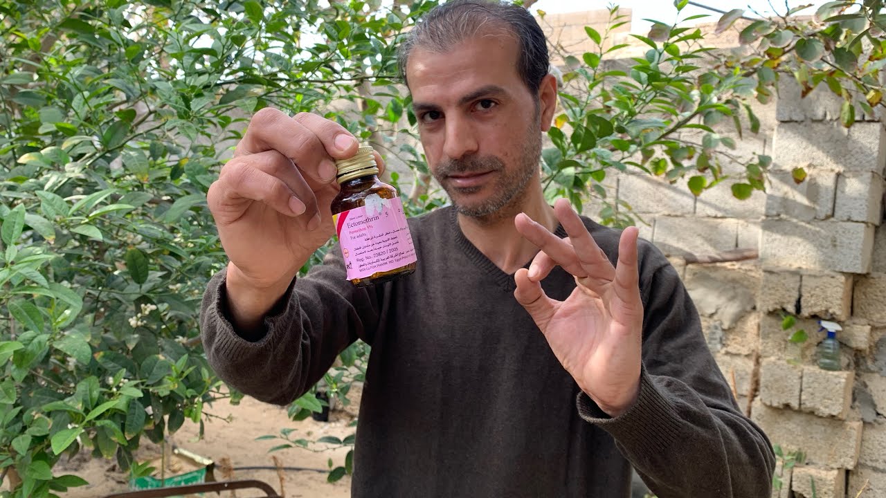 التخلص من النمل نهائيًا 🐜 بطرق طبيعية منزلية أو بمستحضر إكتومثرين الفعال جدًا في القضاء على النمل