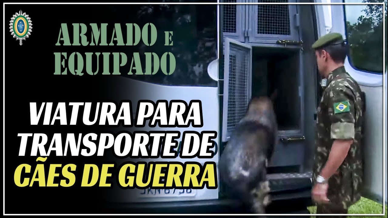 Armado e Equipado - Viatura de Transporte de Cães