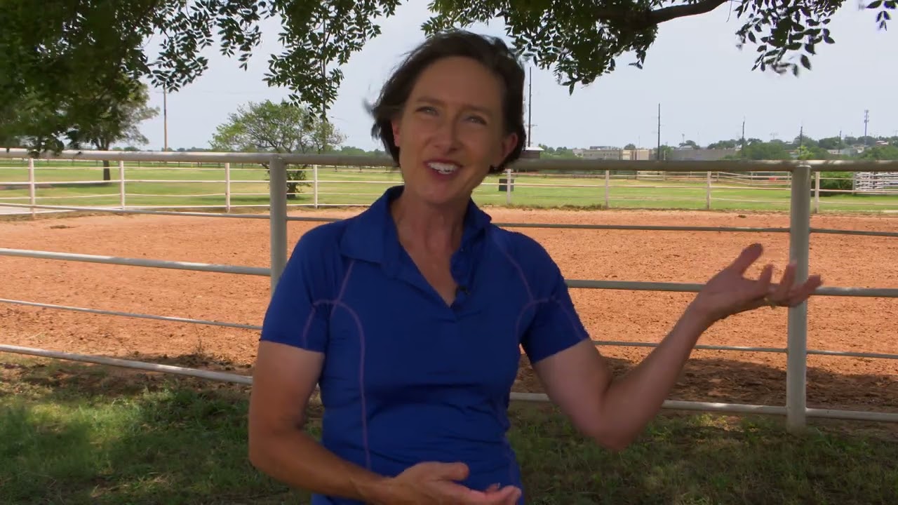 What are the Signs of Heat Stress in Horses?