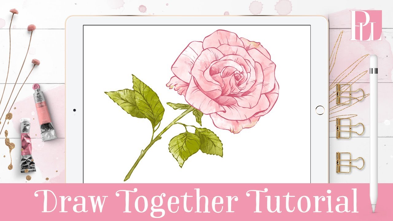 How to draw a Rose step by step in Procreate Tutorial