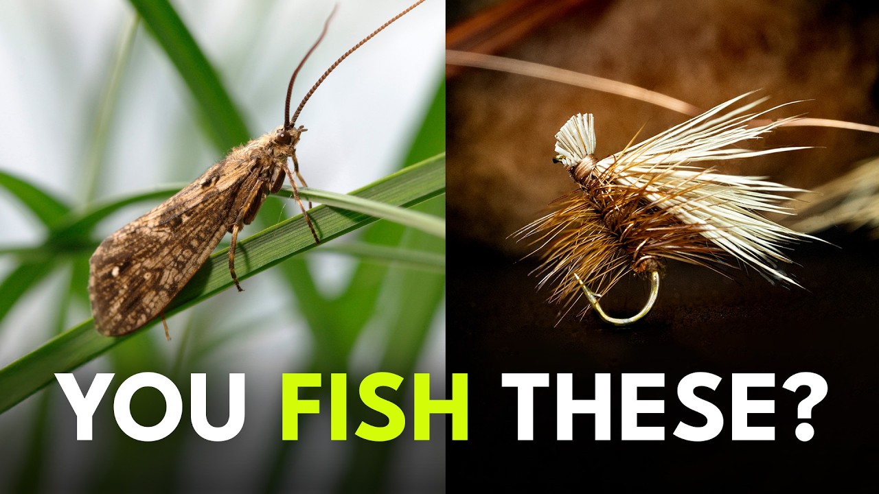 Master One of Fly Fishing’s Most Important Bugs | Ep. 128