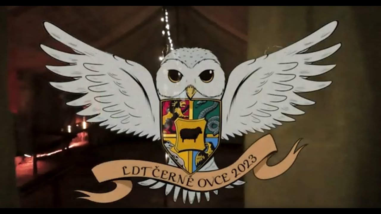 Harry Potter 2023 / Letní Dětský Tábor Černé Ovce - Film