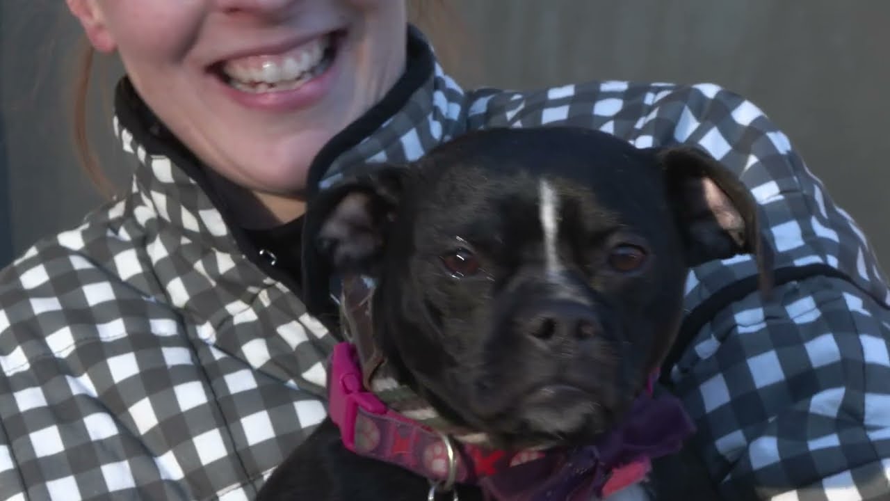 Metro East Humane Society
