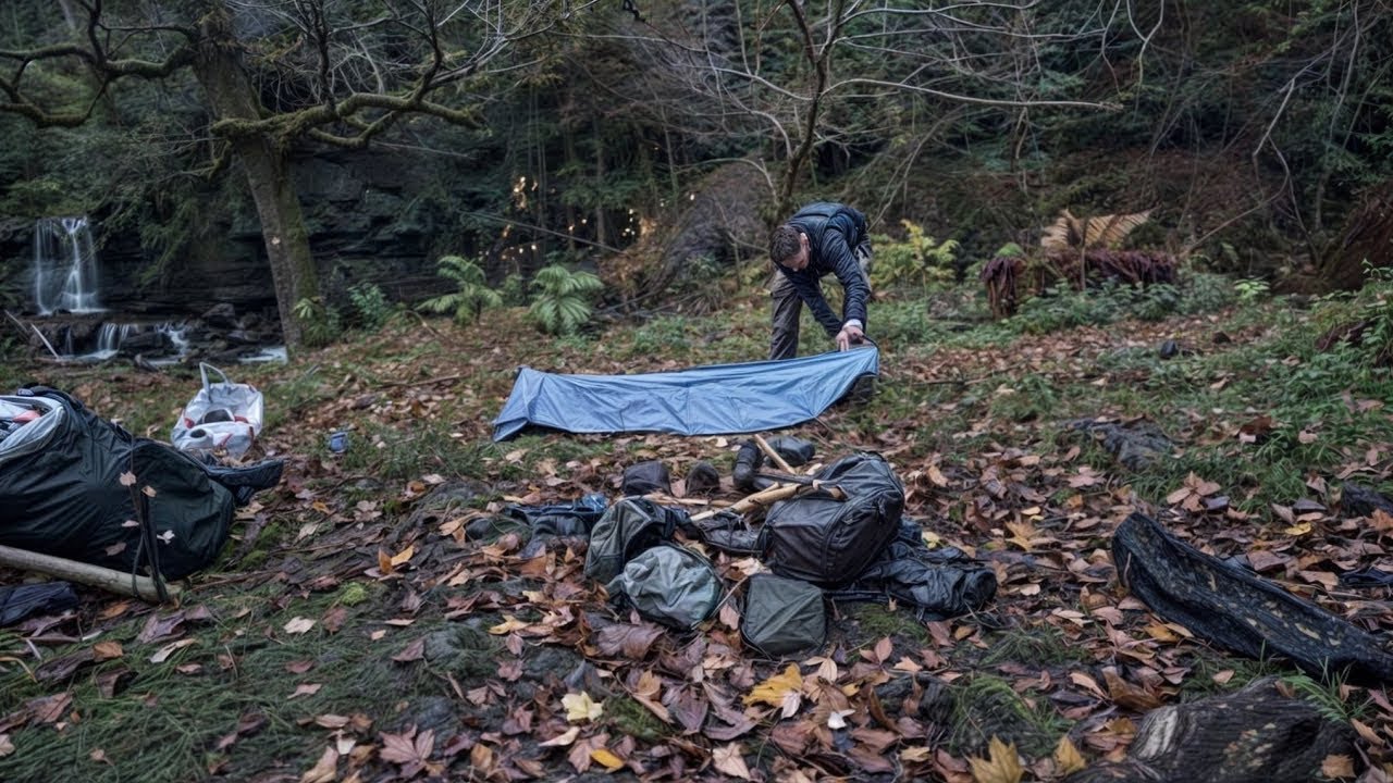 Des apparitions effrayantes en Forêt C￼apturer en Direct ￼