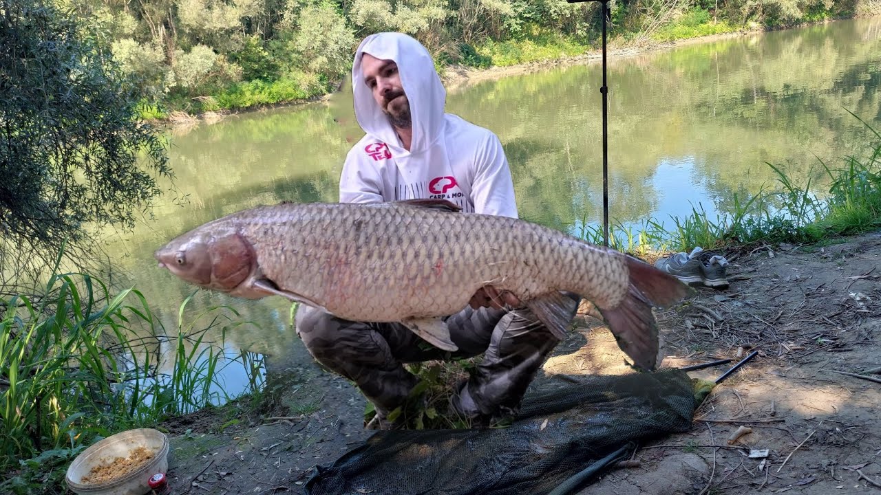 Am prins prins cel mai mare Amur de pana acum ( cu asistență) 