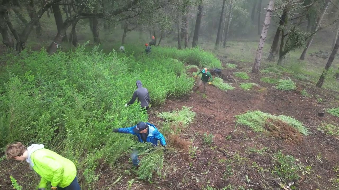 Access4Bikes/Marin County Fire Collaboration Broom Pull
